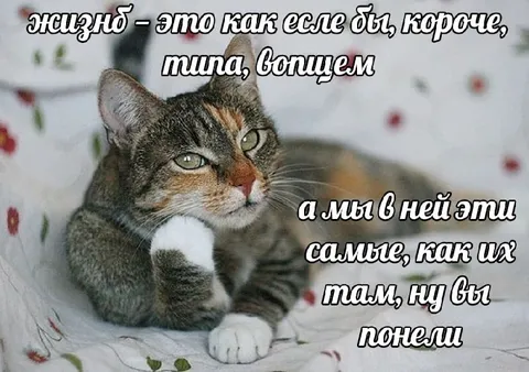 Жизнь — это как если бы