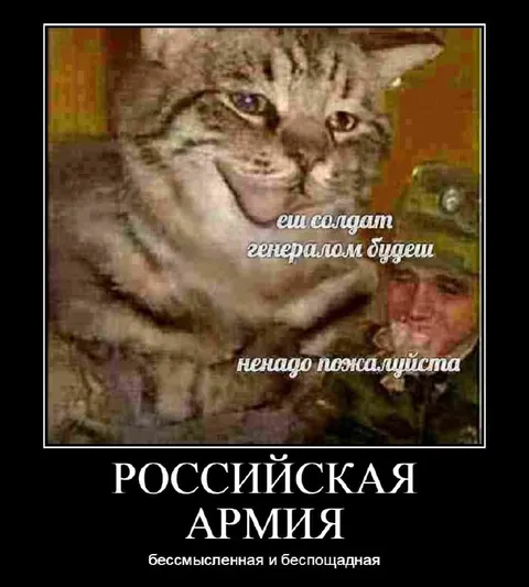Российская армия: бессмысленная и беспощадная