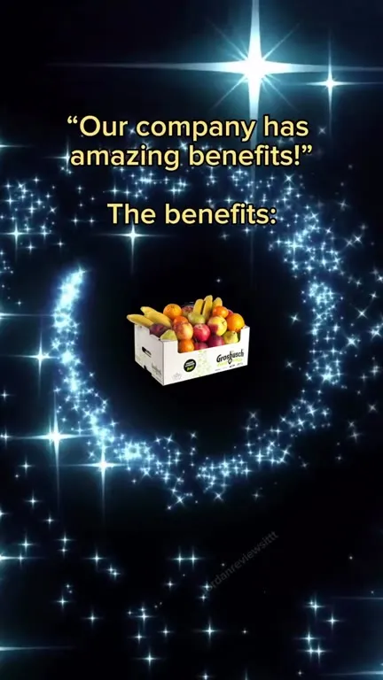 Amazing Company Benefits