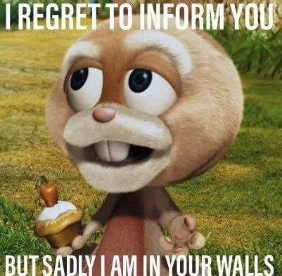I Am In Your Walls