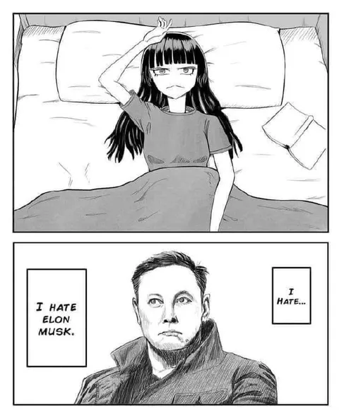 I Hate Elon Musk
