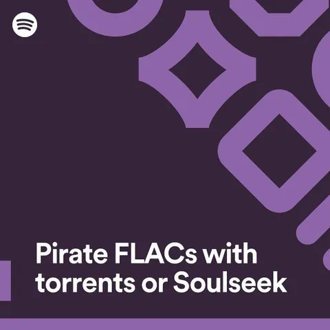 Pirate FLACs and Soulseek