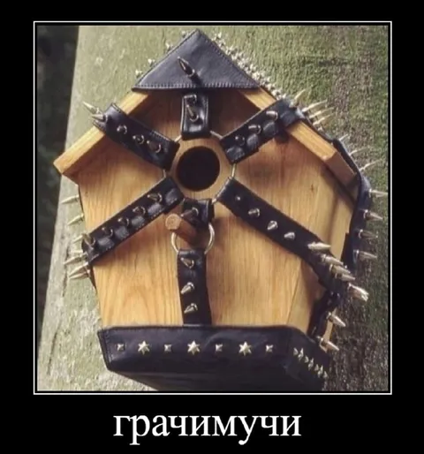 Грачимучучи на скворечнике