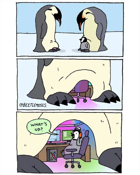 Penguin Has a Secret Room