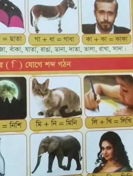 বাংলা বইয়ের অদ্ভুত ছবি
