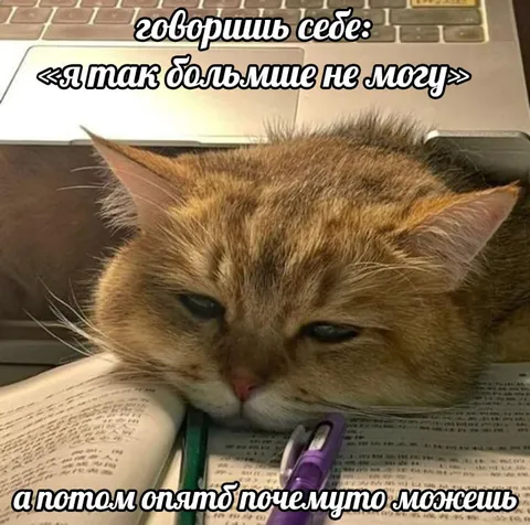 Я так больше не могу