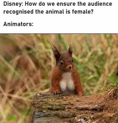 Disney Female Animal Design