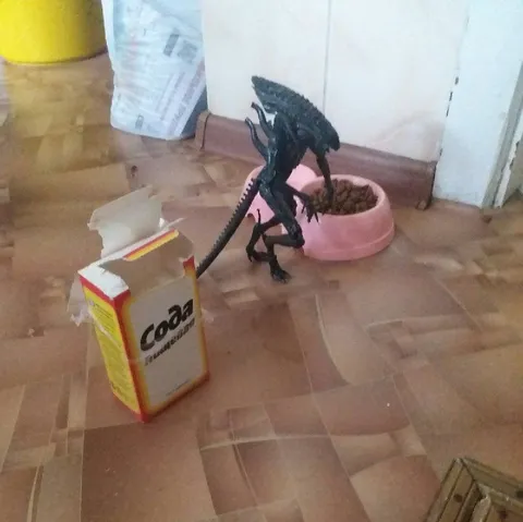 Чужой пришёл за содой