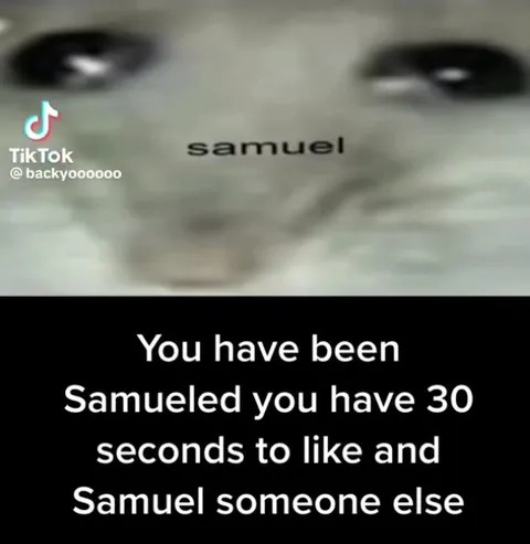 You Have Been Samueled
