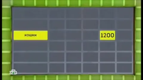 Кошки за 1200 — это был трап