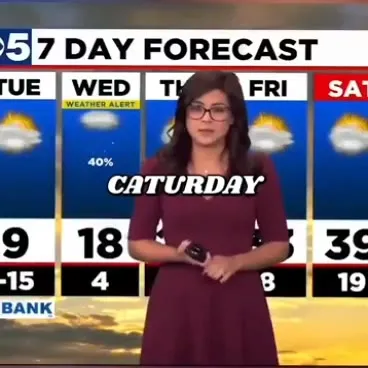 Caturday Forecast Cat Name Reveal