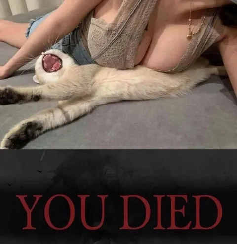 Cat Gets Crushed by Cleavage