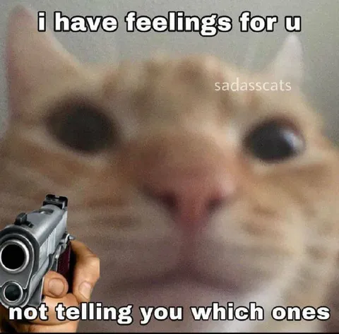 Cat With Feelings and a Gun