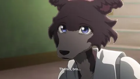 Thanks Bro, Let’s Go