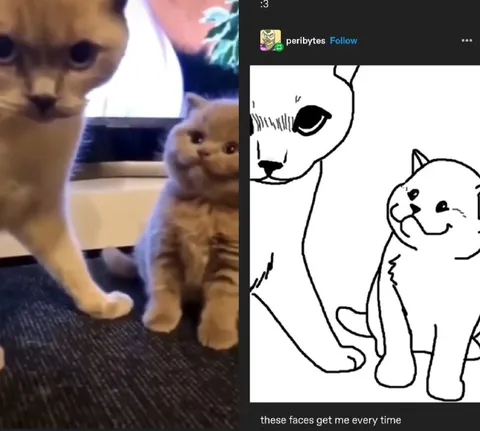 These Faces Get Me Every Time