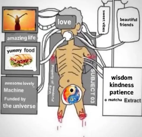 Funded by the Universe