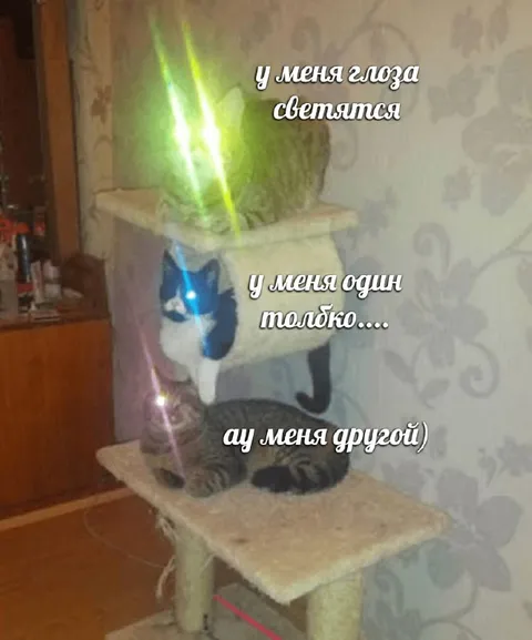 У меня глаза светятся
