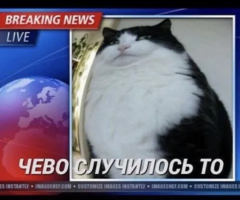 Чево случилось-то