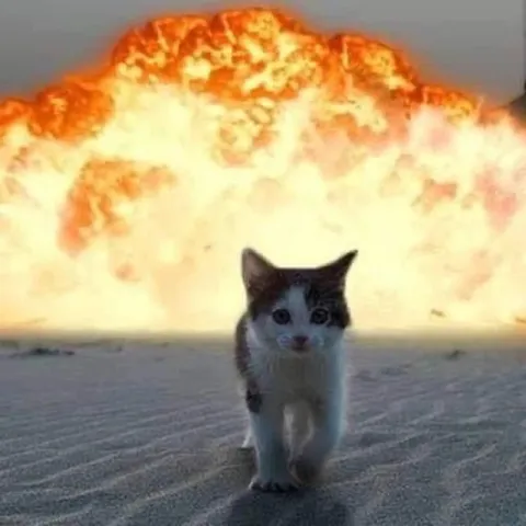 Котёнок на фоне взрыва