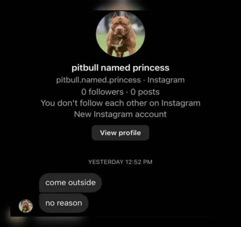Pitbull Says Come Outside