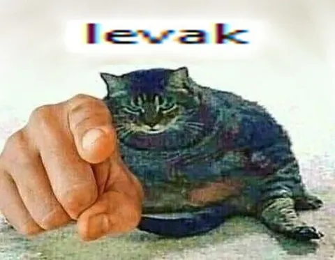 Ievak Cat Pointing Meme