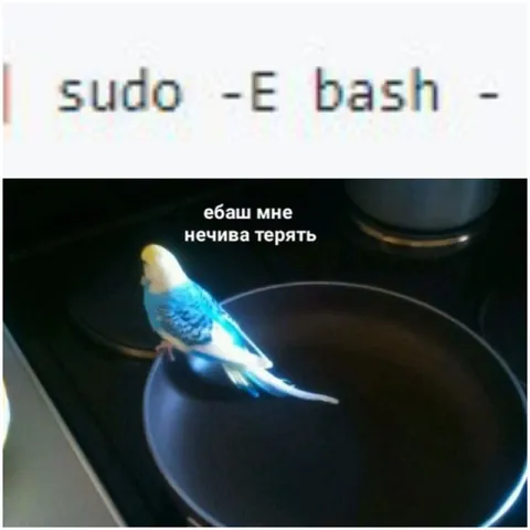 Ебаш, мне нечива терять
