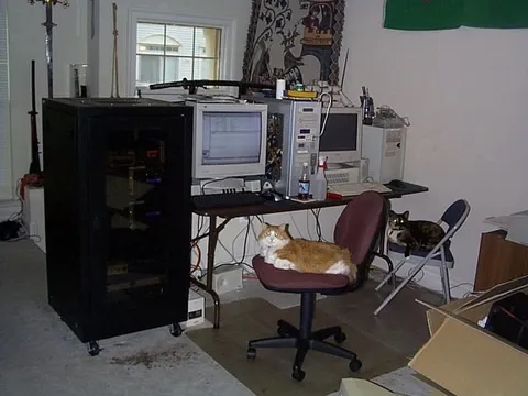 Коты помогают с компьютерами