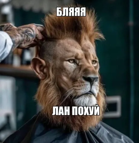 Леву вообще всё равно