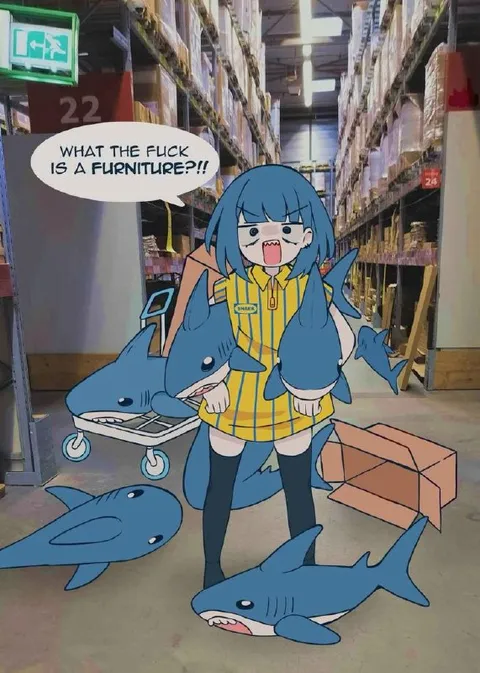 What the Fuck Is Furniture