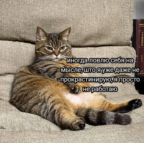 Я просто не работаю