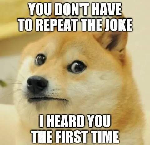 Doge Heard You the First Time