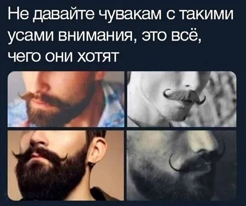 Не давайте внимания усатым чувакам