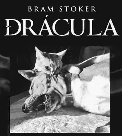 Cat Dracula Book Cover