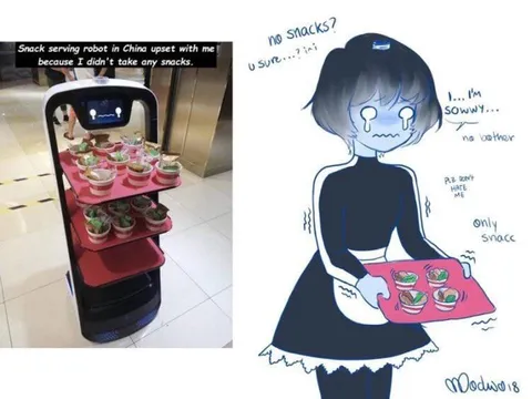 Snack Serving Robot Feels Rejected