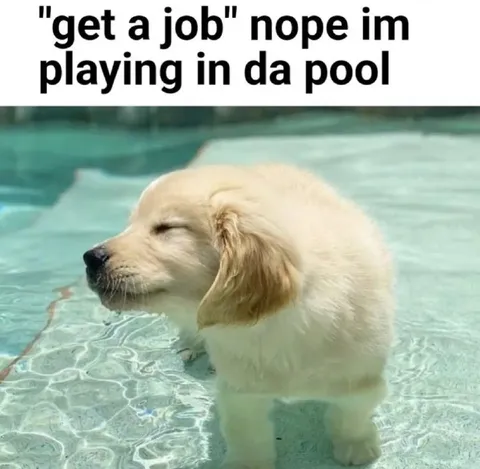 Get a Job? Puppy Says Nope
