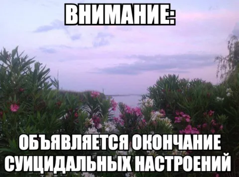 Окончание суицидальных настроений