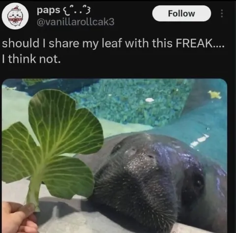 Should I Share My Leaf