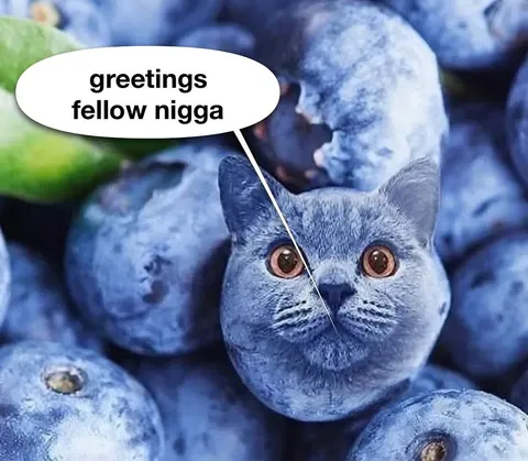 Greetings Fellow Stone Cat