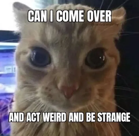 Can I Come Over and Be Strange
