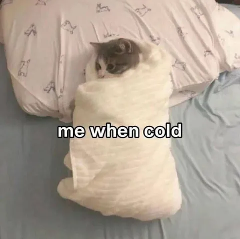 Cat Wrapped Up When Cold