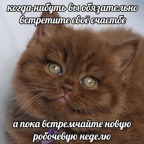 Встречайте новую рабочую неделю
