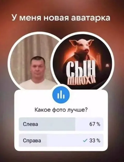 Новая аватарка с поросёнком