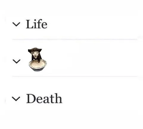 Life, Death, and Tiny Animal