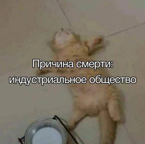 Причина смерти: индустриальное общество