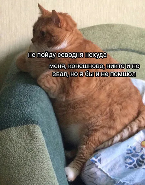 Никуда не пойду сегодня