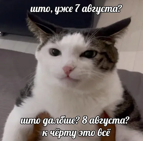 Уже 7 августа