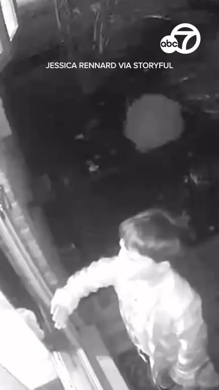 Boy Runs Into Glass Door