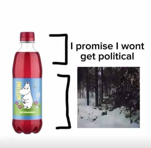 I Promise I Won't Get Political