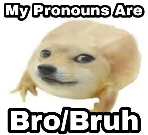 My Pronouns Are Bro/Bruh