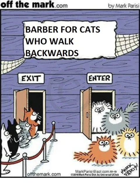 Barber for Backward-Walking Cats